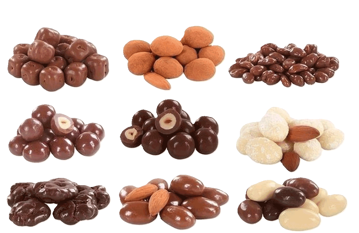Chocolate Coated